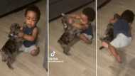 Video of 6-month-old baby wrestling a puppy that wants to play stuns the internet: "The boy is strong as hell"