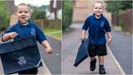 Little warrior: Boy beats cancer twice, starts school after transplant