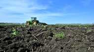 Polish farmers warn of EU threat from Ukraine grain