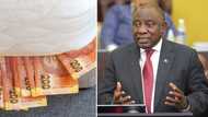 Farmgate: A look into 4 criminal allegations levelled against President Cyril Ramaphosa