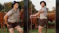 South African farmer by his kraal full of cows grooves to TikTok viral sound, moves delight Mzansi ladies, "Lobola at the back"