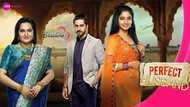 Zee World Perfect Husband: cast, plot summary, full story, teasers, theme song