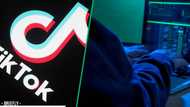 Cyber scare: 2.4 billion TikTok records allegedly exposed on dark web