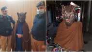 Man arrested for dressing as werewolf to scare people on New Year’s