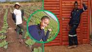 Hard-working carpenter who makes Wendy houses grinds hard as vegetable farmer