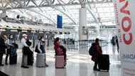 'Let them go': UK citizens flood OR Tambo amid outbreak of new Covid-19 variant in SA