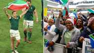 Mzansi melts at sweet moment between Cheslin Kolbe and Johannesburg fan