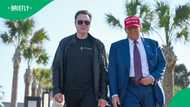 Musk and Trump’s political love affair ends in brutal breakup