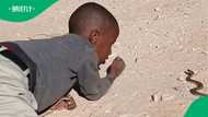 "This kid is playing with death": Little boy’s close encounter with snake sparks outrage in Mzansi