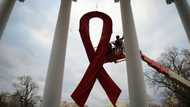 Fourth person 'cured' of HIV, but is a less risky cure in sight?