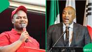 EFF MP Sihle Lonzi and Minister Gayton McKenzie roast each other in X twar