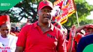 EFF secretary-general Marshall Dlamini handed suspended sentence for assaulting officer