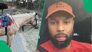 Sizwe Dhlomo flexes his white horse that changed from black in pics, SA impressed