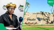 Mahlengi Bhengu says ANC committed to the rule of law following the ConCourt's Phala Phala ruling