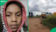 14-year-old boy released into parents' care after being arrested for murder of 10-year-old girl