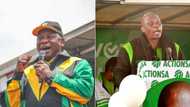 Soweto election battle: ANC and Herman Mashaba's ActionSA are the most popular