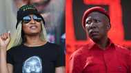 Duduzile Zuma shares 2020 clip of Julius Malema saying "I'm in charge", SA makes own conclusions