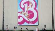 'Barbie' retains top spot at N.American box office for fourth week