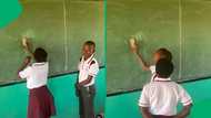 "This brightened my day": Primary school learners compete in smart spelling game, SA wowed