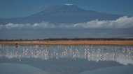 Tanzanian firefighters battle blaze on Mount Kilimanjaro