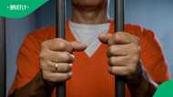 Limpopo pig farm murder suspects remain in jail after judge postpones case