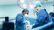 All you need to know about the best plastic surgeons in South Africa