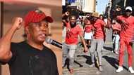 Free water and electricity: Malema promises to use wealth tax to help the poor