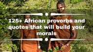 125+ African proverbs and quotes that will build your morals