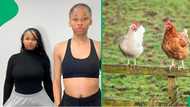 2 young women hilariously confront their fear of live chicken in viral TikTok video