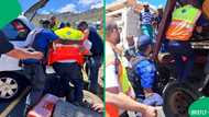 Western Cape N2 crash leaves 6 pigs dead, more injured, citizens call for railway system to be fixed