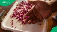 52 million US dollars generated from auction of rubies mined in Mozambique
