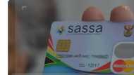 South Africans frustrated with SASSA as millions wait for their R350