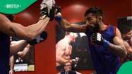 Former UFC fighter Suman Mokhtarian shot dead in Sydney