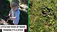 Toddler picks up a snake, thinks it's a stick: "He was ready to eat that thing"