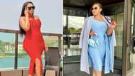 'Real Housewives Of Durban' star Ayanda Ncwane flaunts curves in stunning figure-hugging animal print dress