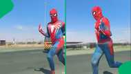 “Ow, Pitha Phakaa!”: Limpopo Spiderman chases car in traffic and Mzansi goes wild
