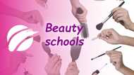 Top beauty schools in Johannesburg in 2022: A-Z list with images and contacts