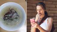 South Africa tries to figure out what's going on with weird fish dinner: "I see too much oil in that bowl"