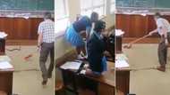 Scaly surprise: Teacher users broom to move snake away from petrified pupils