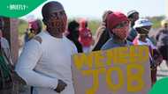 SA’s unemployment rate remains a concern on Workers' Day, Stellenbosch professor weighs in on issue