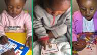 Well-read toddler amazes the internet studying alphabets and nursery books in cute video