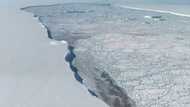 World's biggest ice sheet could cause massive sea rise without action: study