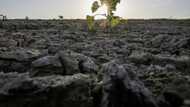 France on course for driest July on record: weather office