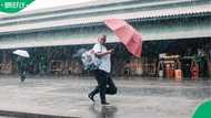SA Weather Service forecasts showers and thunderstorms across seven provinces on Monday