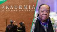 ANC's Naledi Pandor slams R3.2 billion Afrikaans university project, says SA is “too complacent”