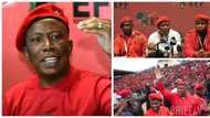 Rise of the Red Beret’s: How the EFF became a major political force