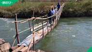 "This is a trap": Limpopo villagers build own wooden bridge sparking safety concerns