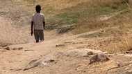 Halala: Young boy who couldn't afford school in 2021 is now going, Mzansi is overjoyed