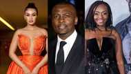 Top 20 South African actors in Hollywood: actors who are making it big