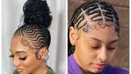 Rastafari braiding hair ideas: 30+ braid styles for women (2023)